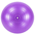 Sadlo Purple Exercise Ball for Yoga Fitness and Balance Training